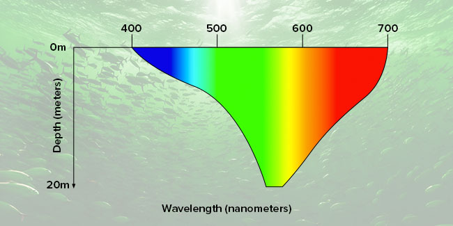 green fishing light with 530nm spectrum