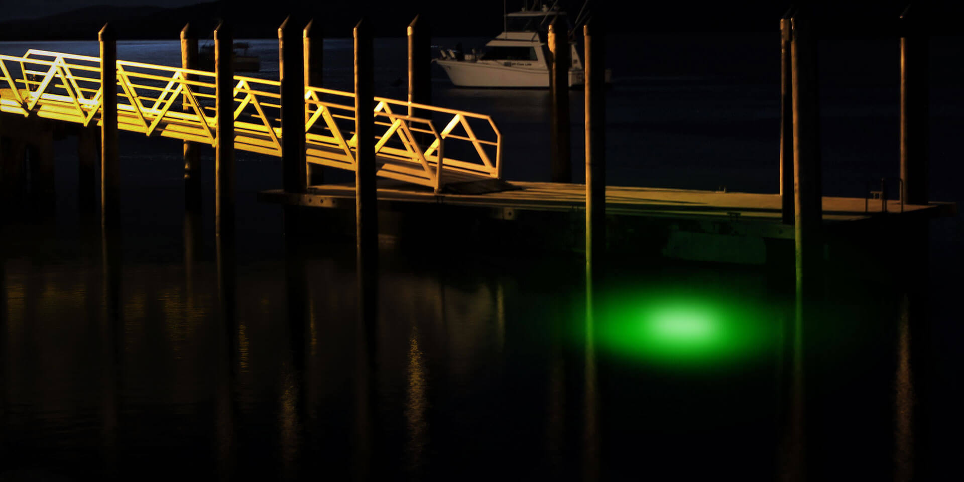 SANSI green fishing light