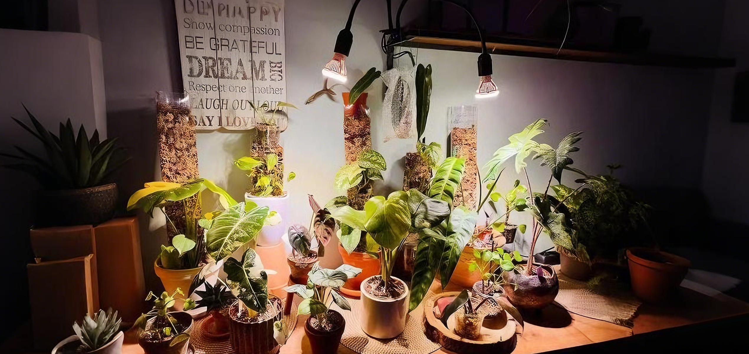 即発送 15W植物育成ライトGrowLight 6000K 3個 ライトクリップ3個