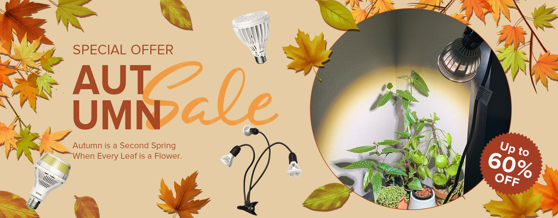 Special Offer Autumn Sale,Up To 60% OFF.