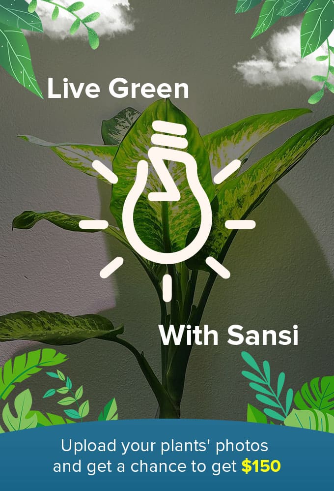 #Live Green With Sansi,Upload your plants' photos and get a chance to get $150.