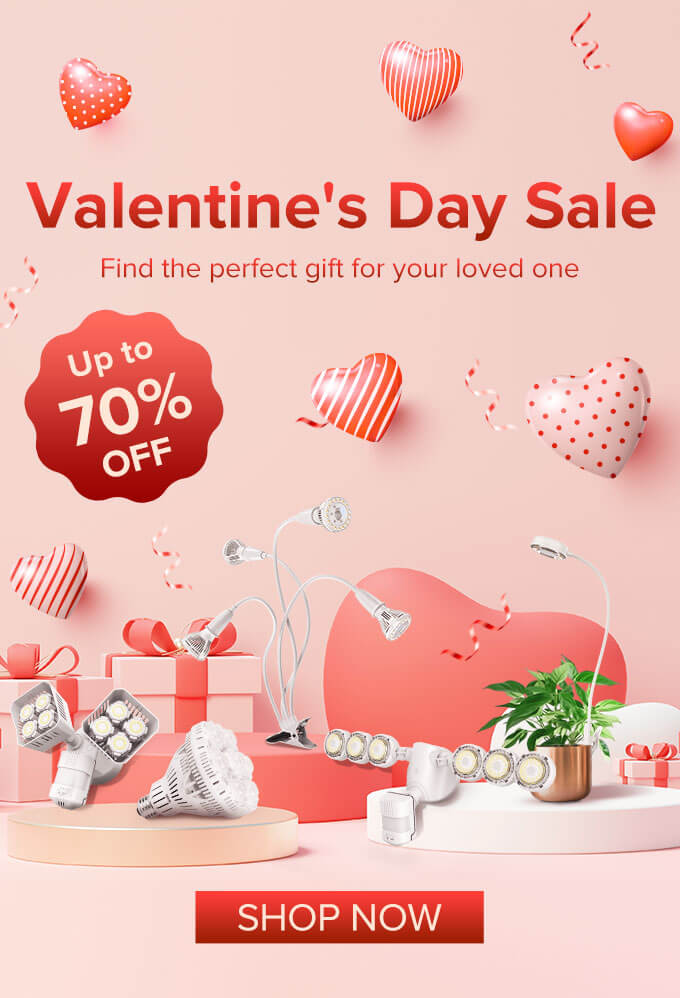 Valentine's Day Sale, up to 70% OFF 