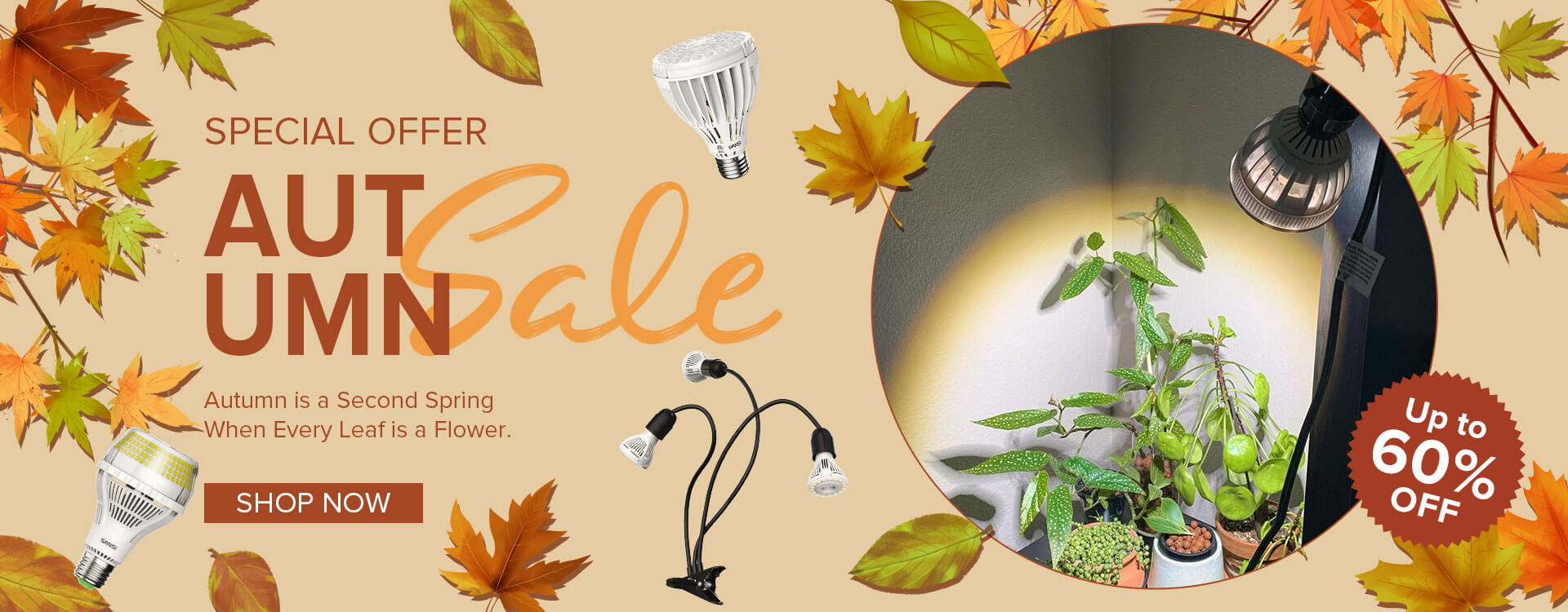 Special Offer Autumn Sale,Up To 60% OFF.