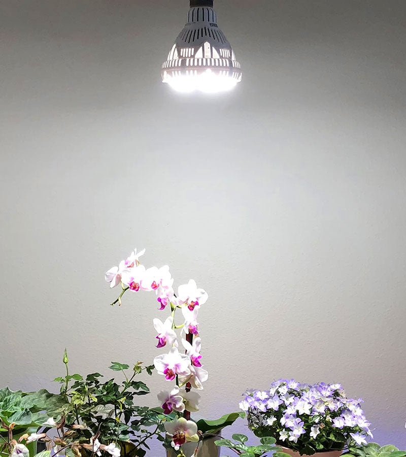 24W led grow light with full spectrum, that can suitable for all the stages of plants