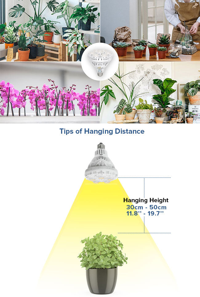 The hanging distance between the luminous surface of the 36W led gtrow light and the plant is 30-50cm