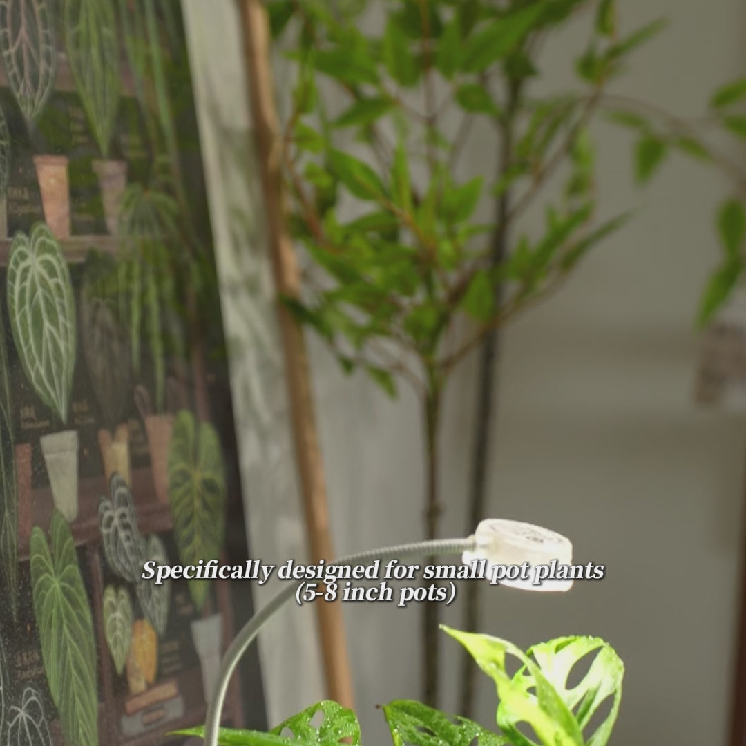 Video laden: Pot Clip LED-Wachstumslampe