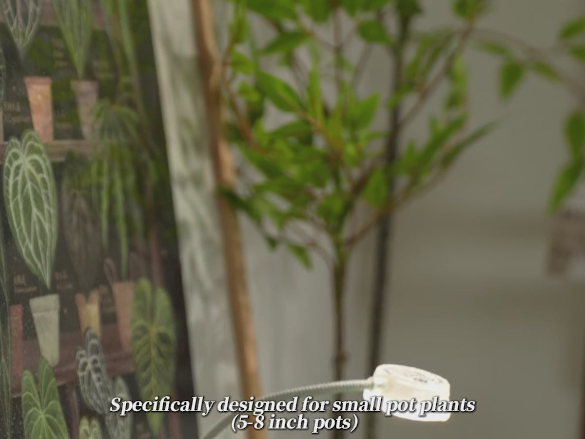 Video laden: <p>SANSI LED pot clip grow light equipped with SANSI unique ceramic technology, provides more efficient power conversion. The indoor grow light provides 5W output power with 35.78 μmol/s/㎡ @6 inches growing power. The LED grow light is suitable for various indoor potted plants, such as succulents, aloe vera, devil's Ivy,calibrachoa, African violet, etc.</p>