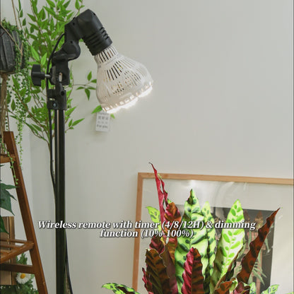 BR30 40W LED-Wachstumslampe mit Fernbedienung (NUR USA)