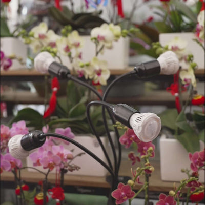 40W Adjustable 4-Head Clip-on LED Grow Light with Timer