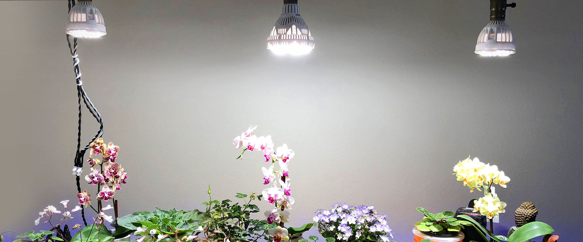 24W led grow light with full spectrum, that can suitable for all the stages of plants