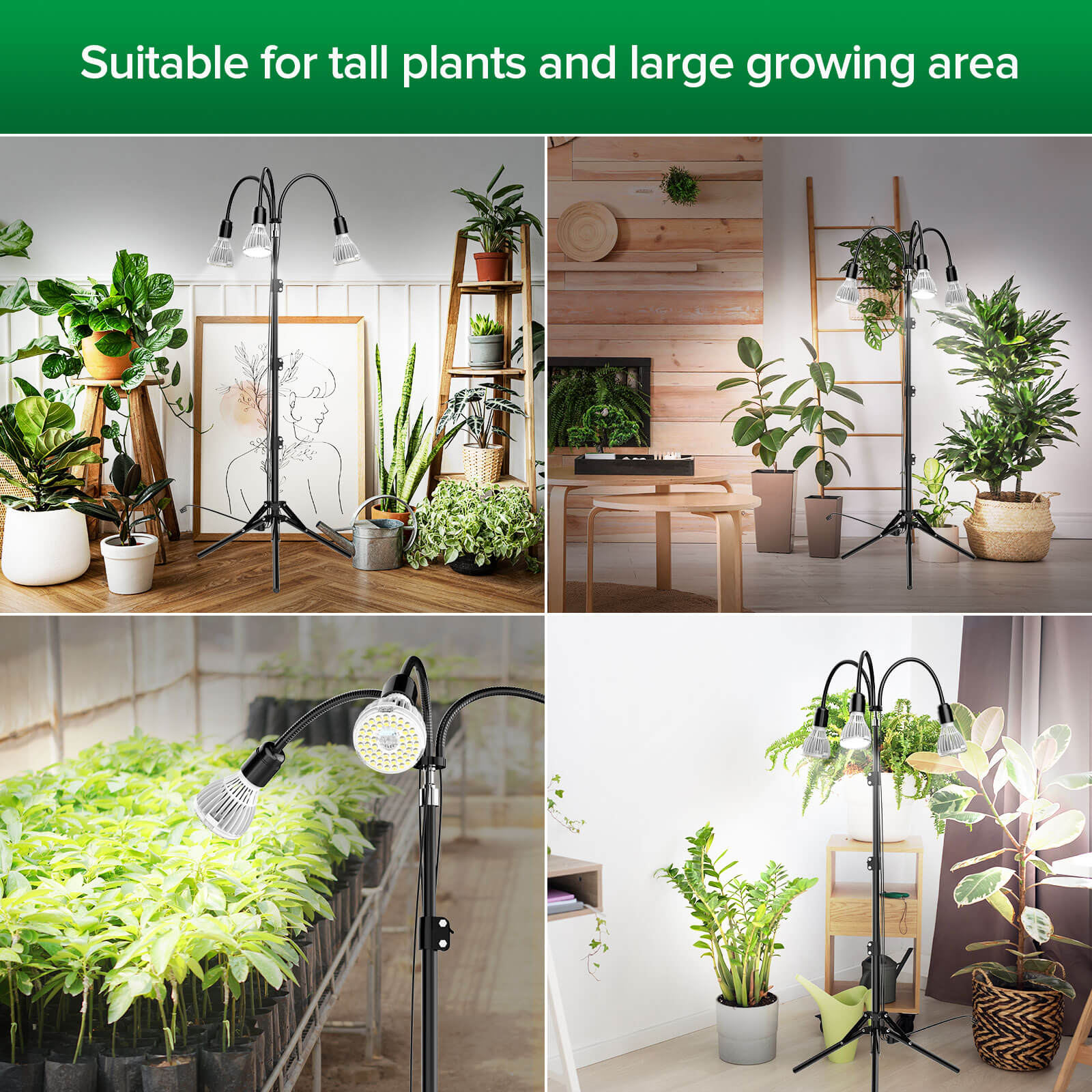 suitable for tall plants and large growing area