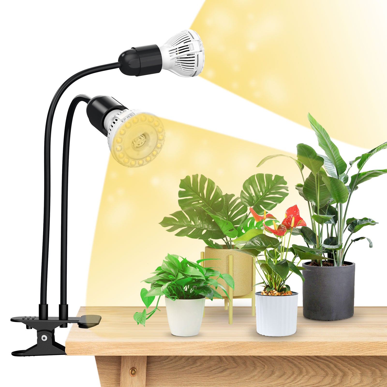 20W Adjustable 2-Head Clip-on LED Grow Light (Black).