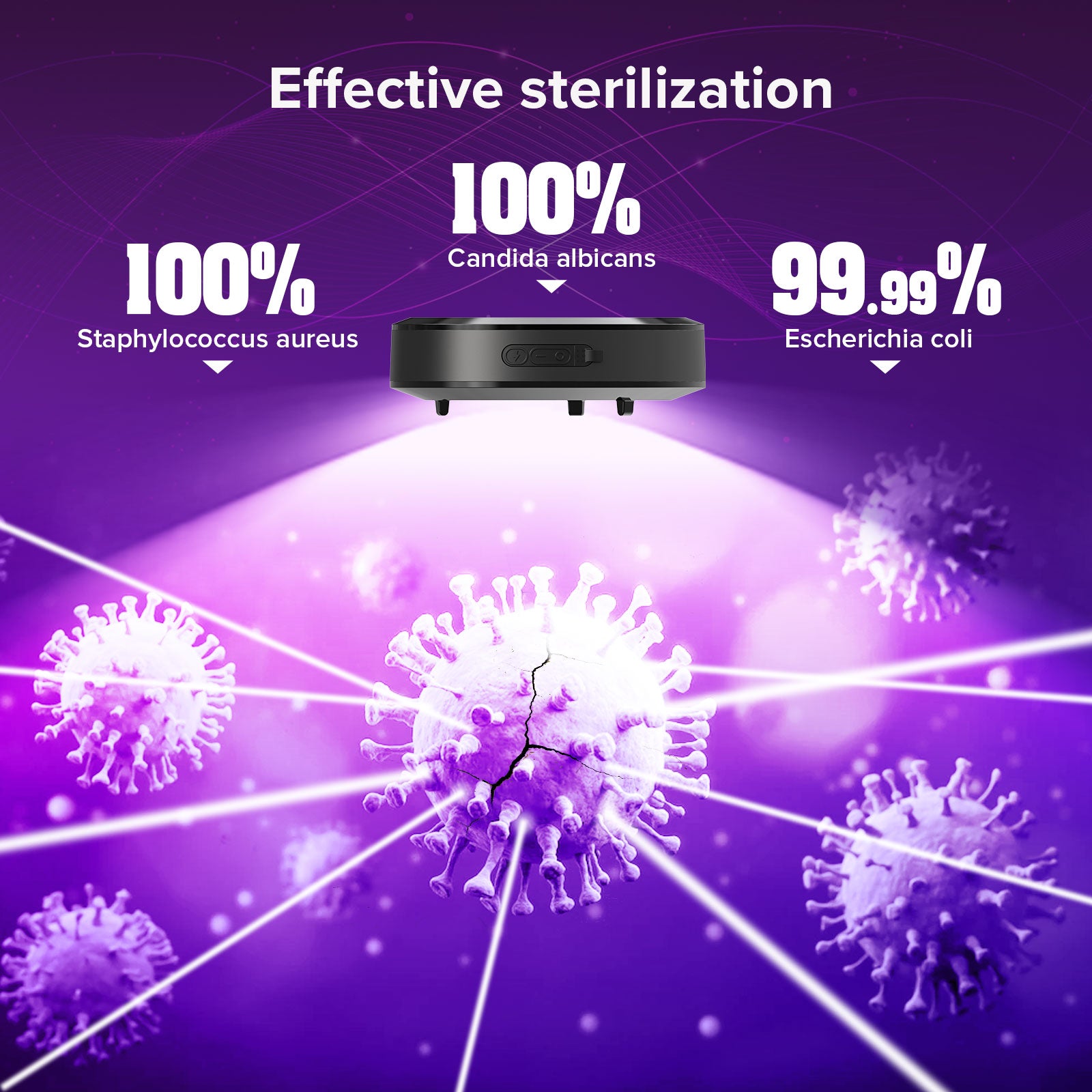 Portable UV Hand Light with effective sterilization, 100% staphylococcus aureus, 100% candida albicans, 99.99% escherichia coil