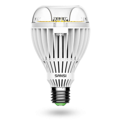 A21 36W LED 5000K Light Bulb (US ONLY)