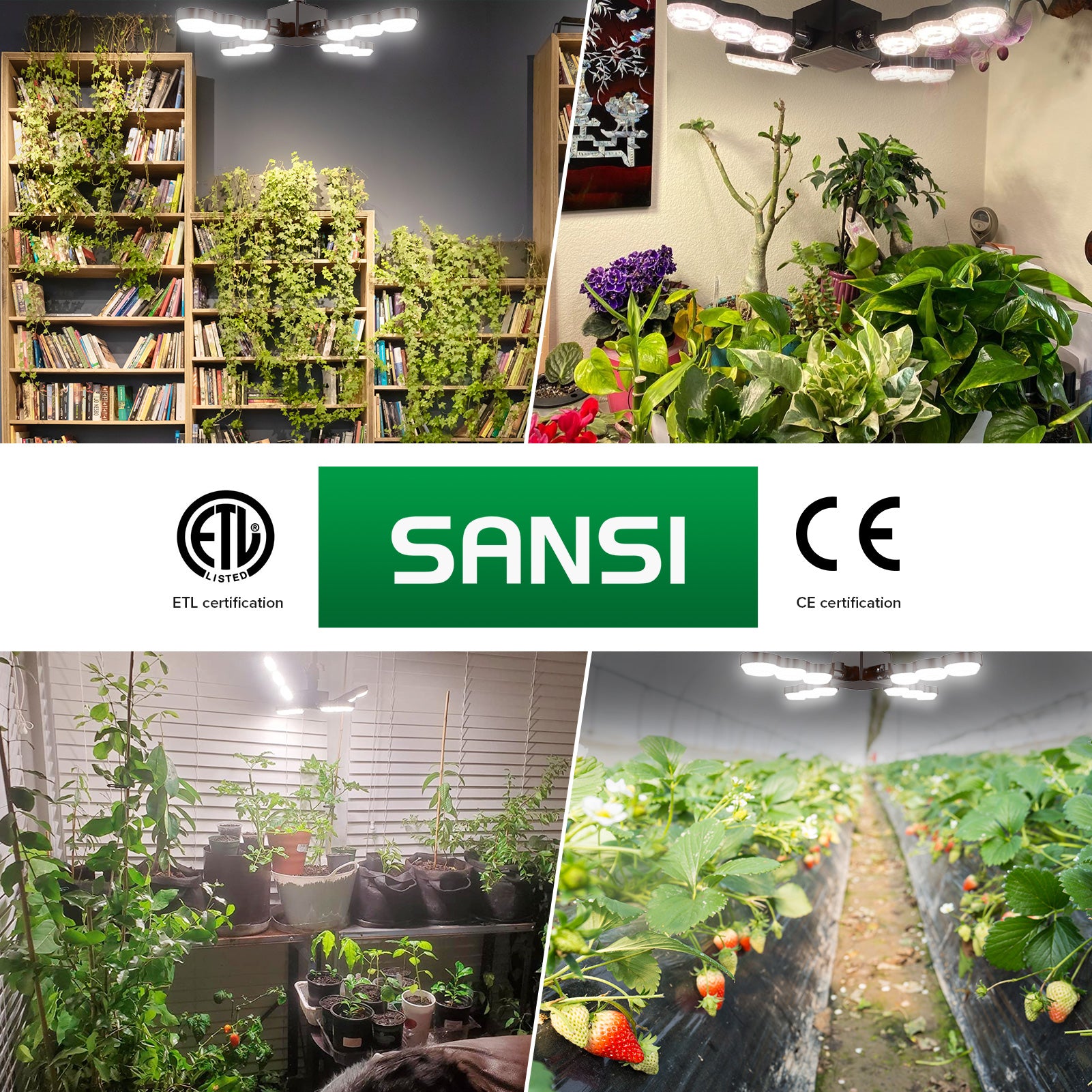 60W grow lamps for indoor plants with folding wings that has ETL certification and CE certification