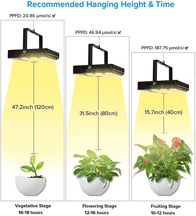 45W LED Grow Light for indoorplanting, recommended hanging height and time