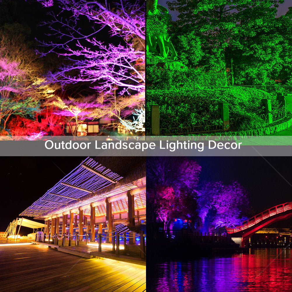 US 70W RGB+Grow Light Bundle
