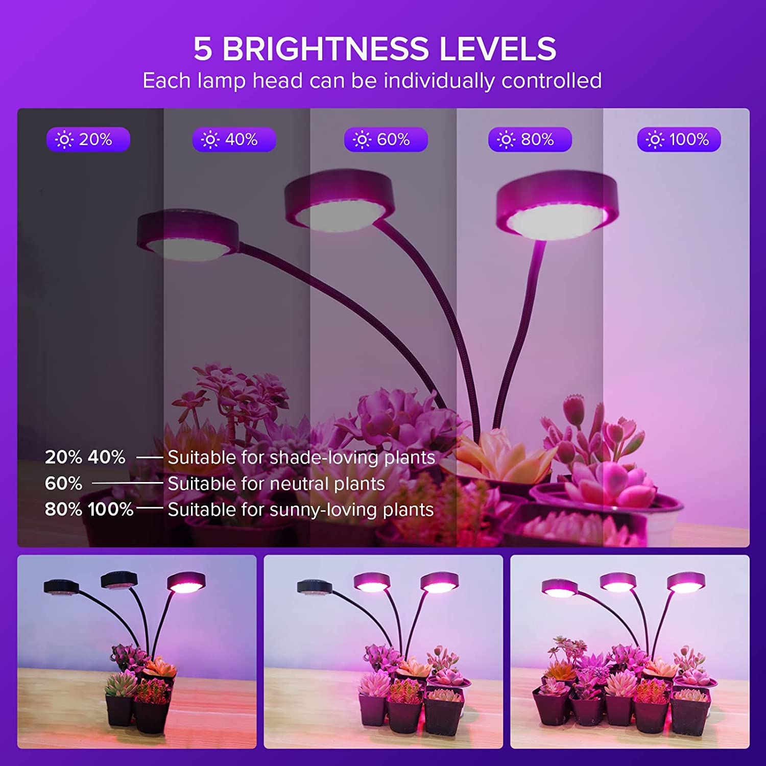 24W Adjustable 3-Head Clip-on Grow Light (US EU UK ONLY) has 5 brightness levels，each lamp head can be individually controlled.